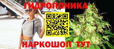 стафф Комсомольск-на-Амуре