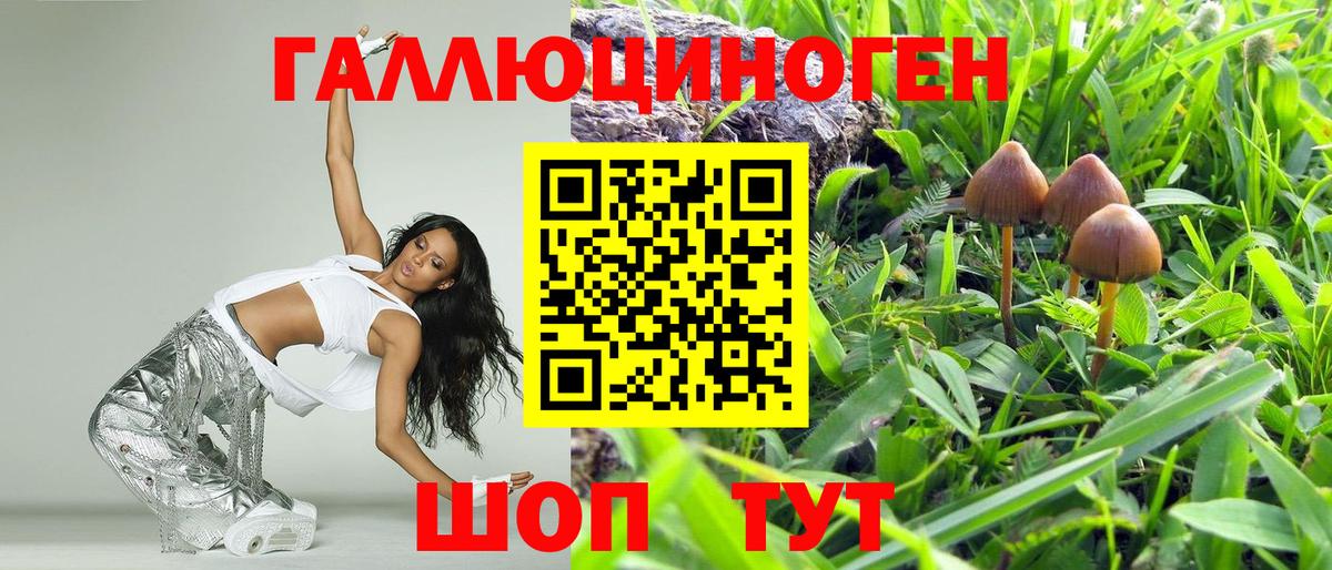 Псилоцибиновые грибы MAGIC MUSHROOMS Кисловодск