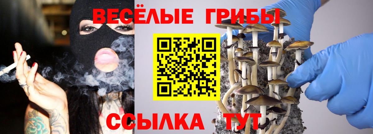 Галлюциногенные грибы мухоморы  Вход с VPN  Кисловодск  Псилоцибиновые грибы мухоморы 