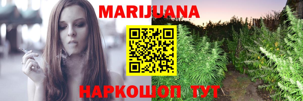 Конопля OG Kush Кисловодск